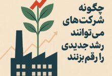 رشد شرکت ها